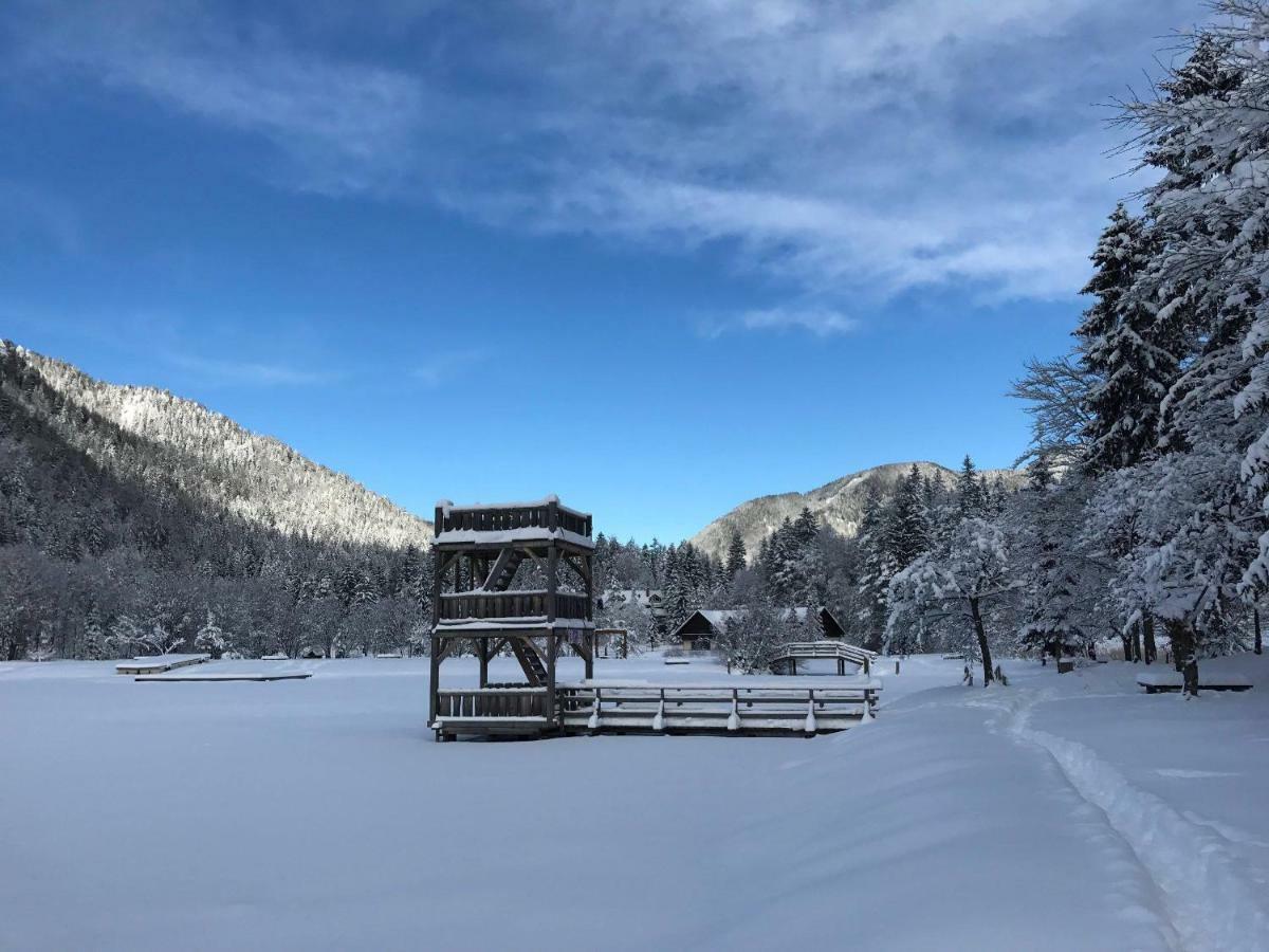 Auredius Deluxe Apartment Kranjska Gora Eksteriør billede